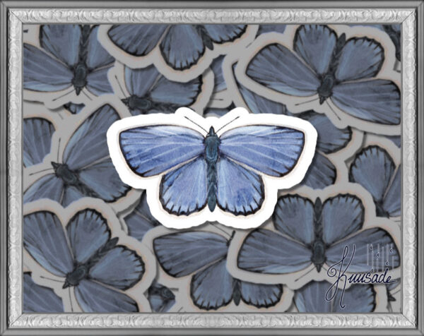 Sinisiipi, Vinyylitarra