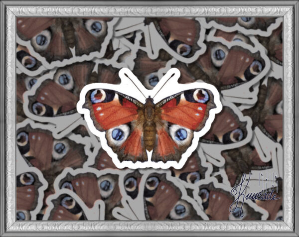 Neitoperhonen, Vinyylitarra