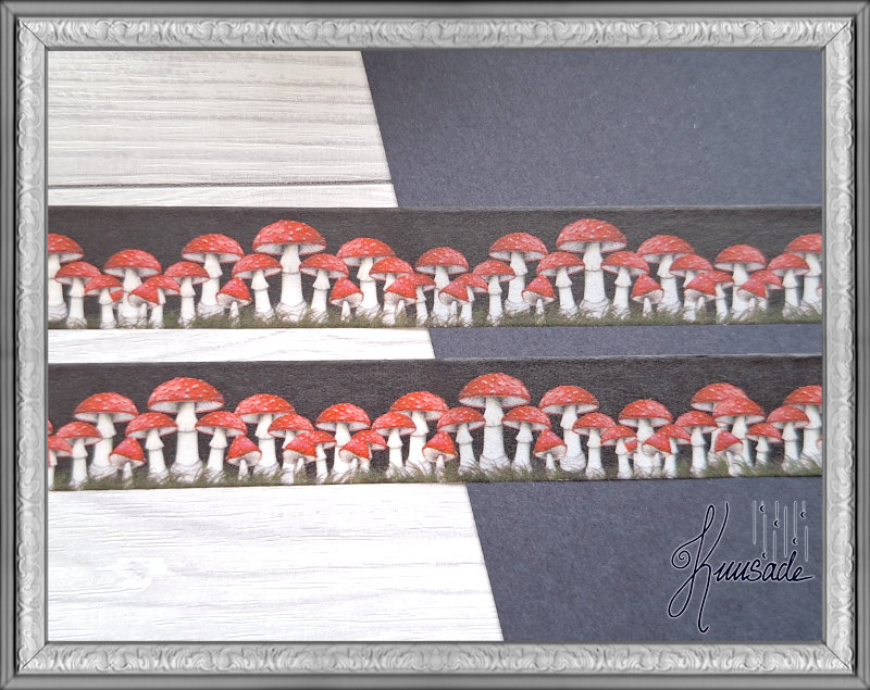 Washiteippi: Musta Kärpässieni - Image 4