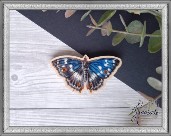 Häiveperhonen, Vanerinen Magneetti