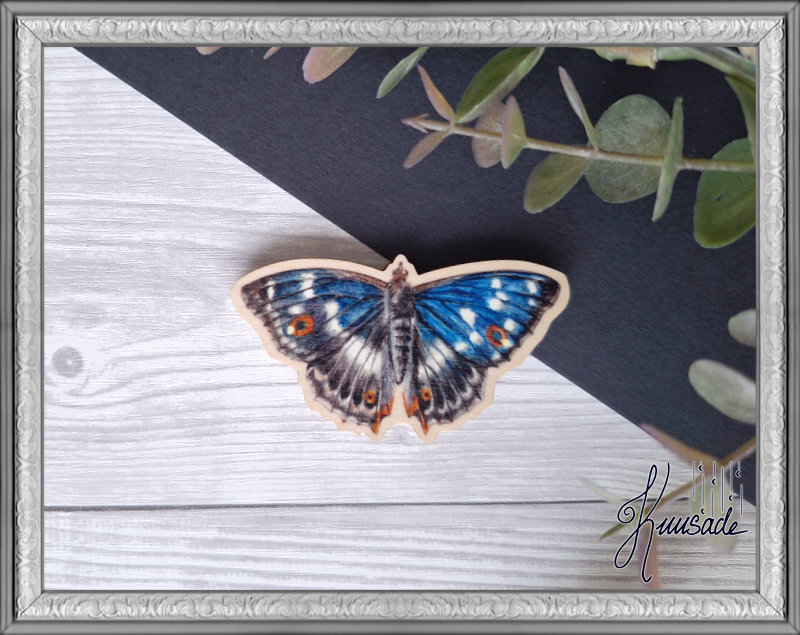 Häiveperhonen, Vanerinen Magneetti