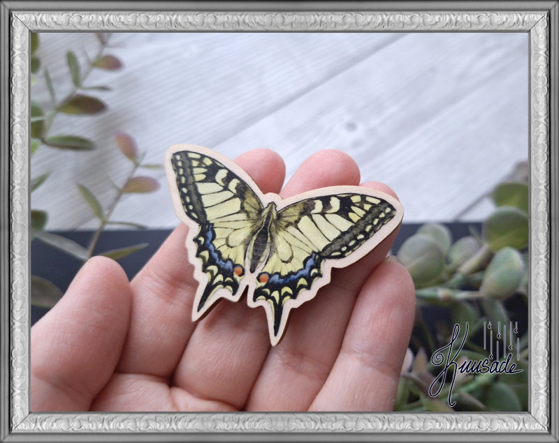 Ritariperhonen, Vanerinen Magneetti - Image 2