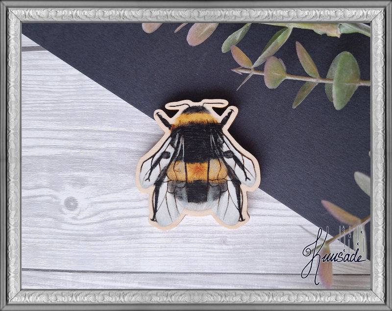 Kimalainen, Vanerinen Magneetti