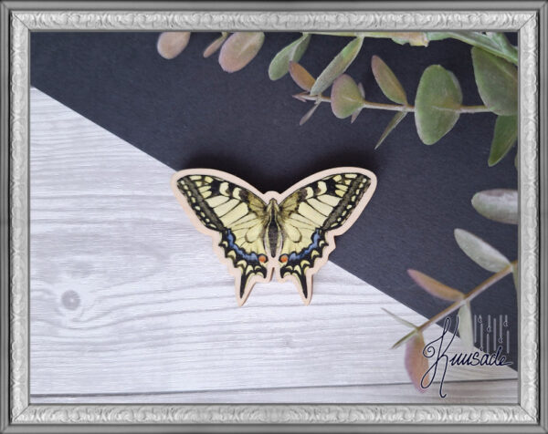 Ritariperhonen, Vanerinen Magneetti