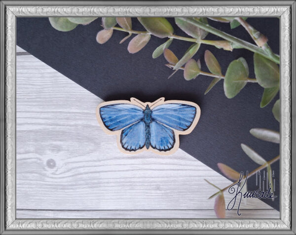 Sinisiipi, Vanerinen Magneetti