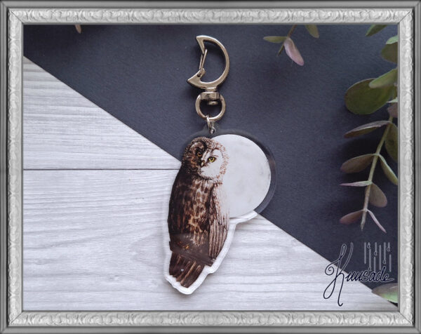 Akryylicharmi Pöllö