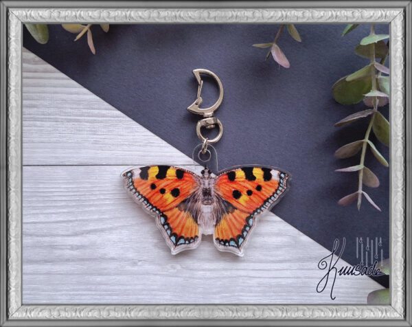 Akryylicharmi Nokkosperhonen