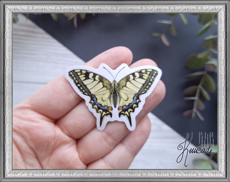 Old World Swallowtail, Vinyl Sticker - Image 2