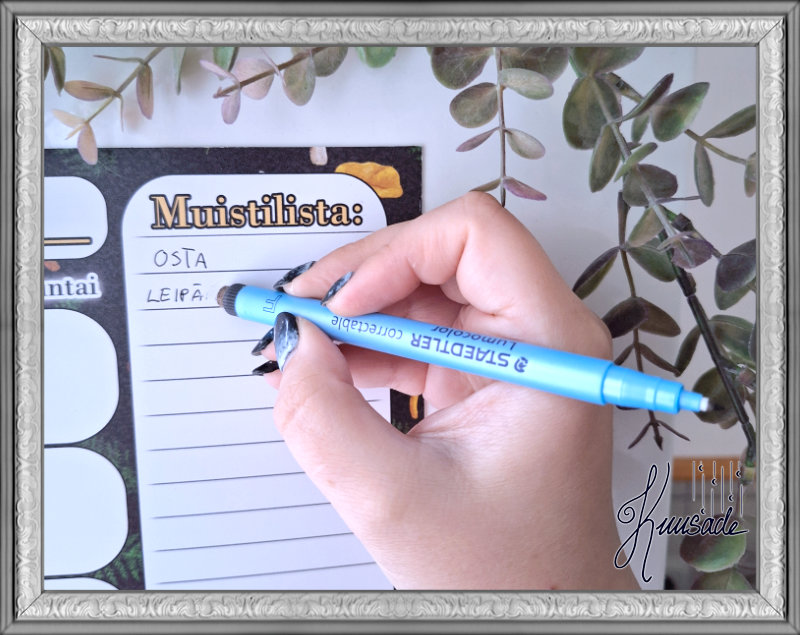 Kuukausikalenteri, Pyyhittävän magneettitaulu - Sienimetsä - Image 7