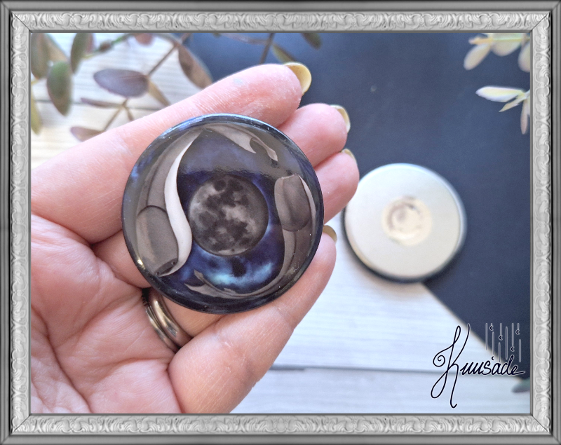 Sacabambaspis, pinssi tai magneetti - Image 4