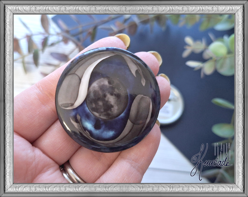 Sacabambaspis, pinssi tai magneetti