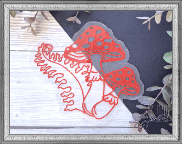 Auringon sieppari - Kärpässieni